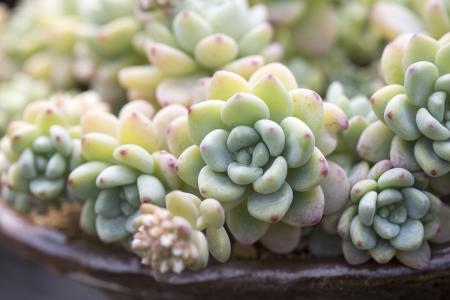 ж! 2020սͼ:48ɽ ¹ű